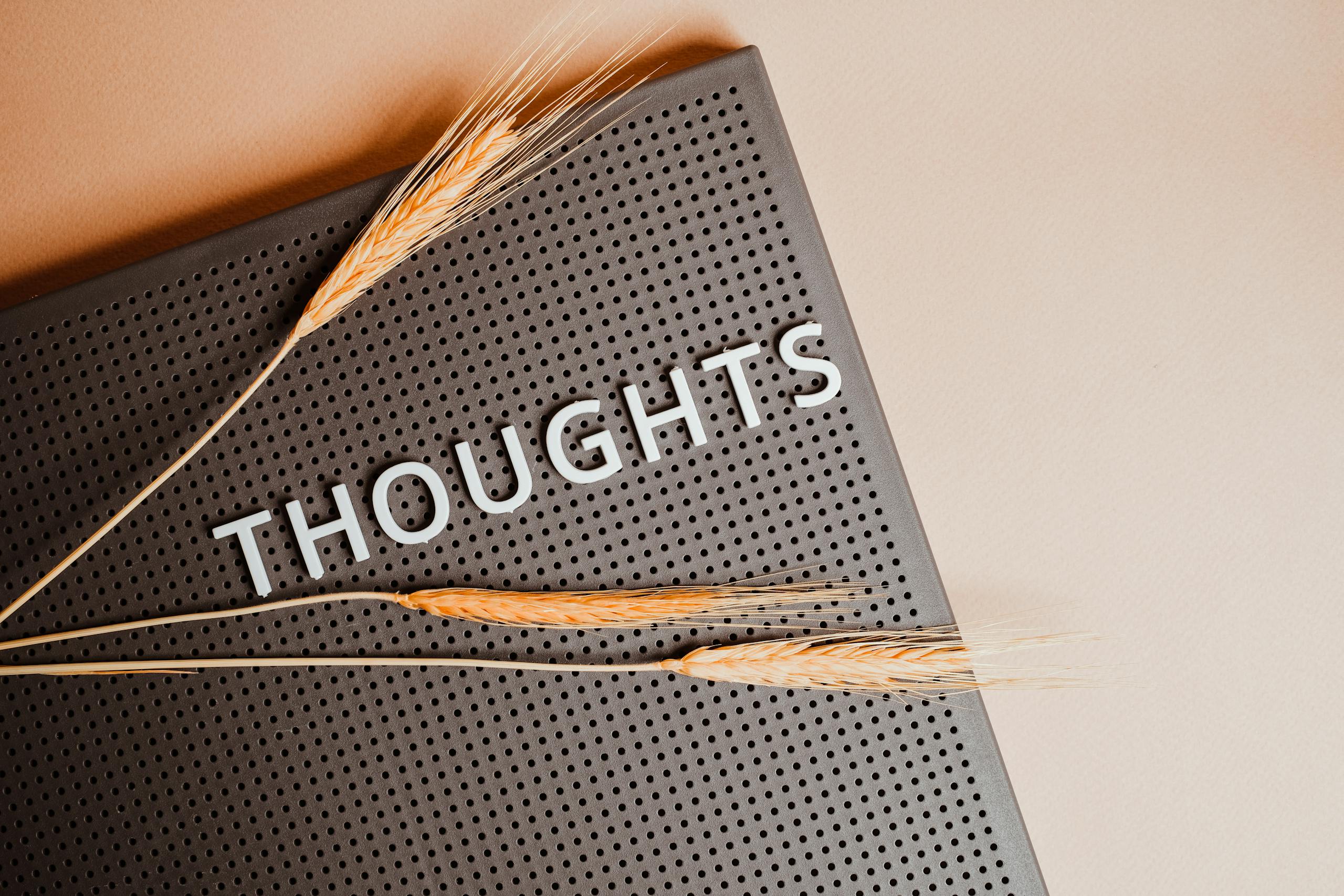 Close-up of a black perforated board with the word 'THOUGHTS' and wheat stalks.